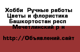 Хобби. Ручные работы Цветы и флористика. Башкортостан респ.,Мечетлинский р-н